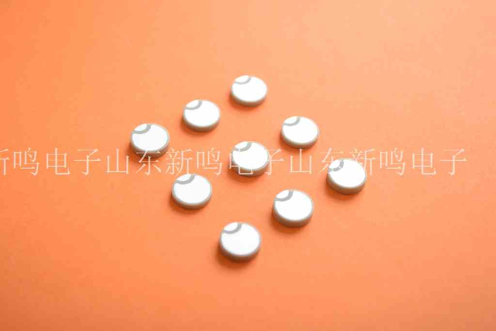 換能片